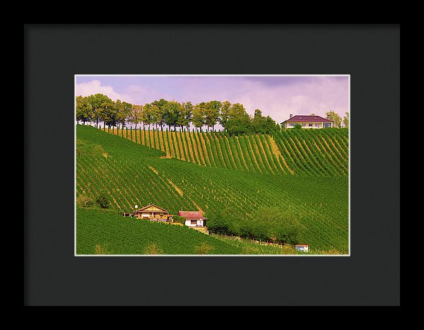 Luxembourg Vineyards Landscape  - Framed Print