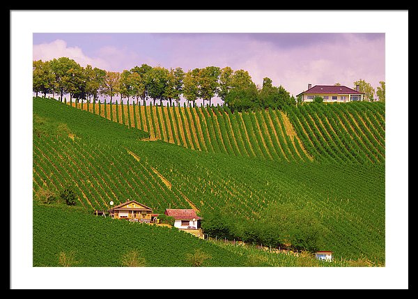 Luxembourg Vineyards Landscape  - Framed Print
