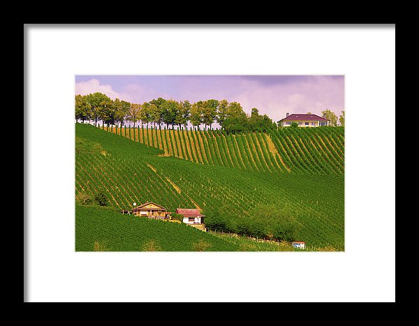 Luxembourg Vineyards Landscape  - Framed Print