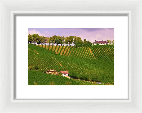 Luxembourg Vineyards Landscape  - Framed Print