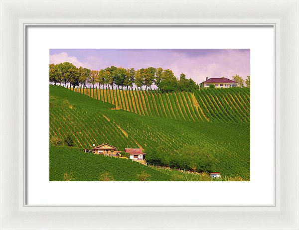 Luxembourg Vineyards Landscape  - Framed Print