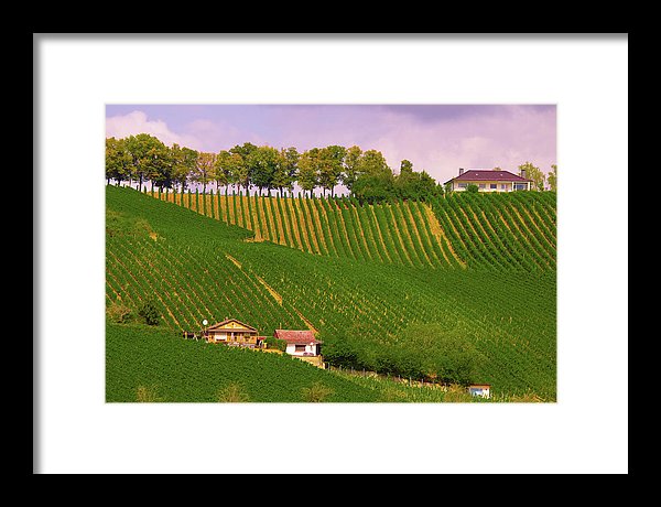 Luxembourg Vineyards Landscape  - Framed Print