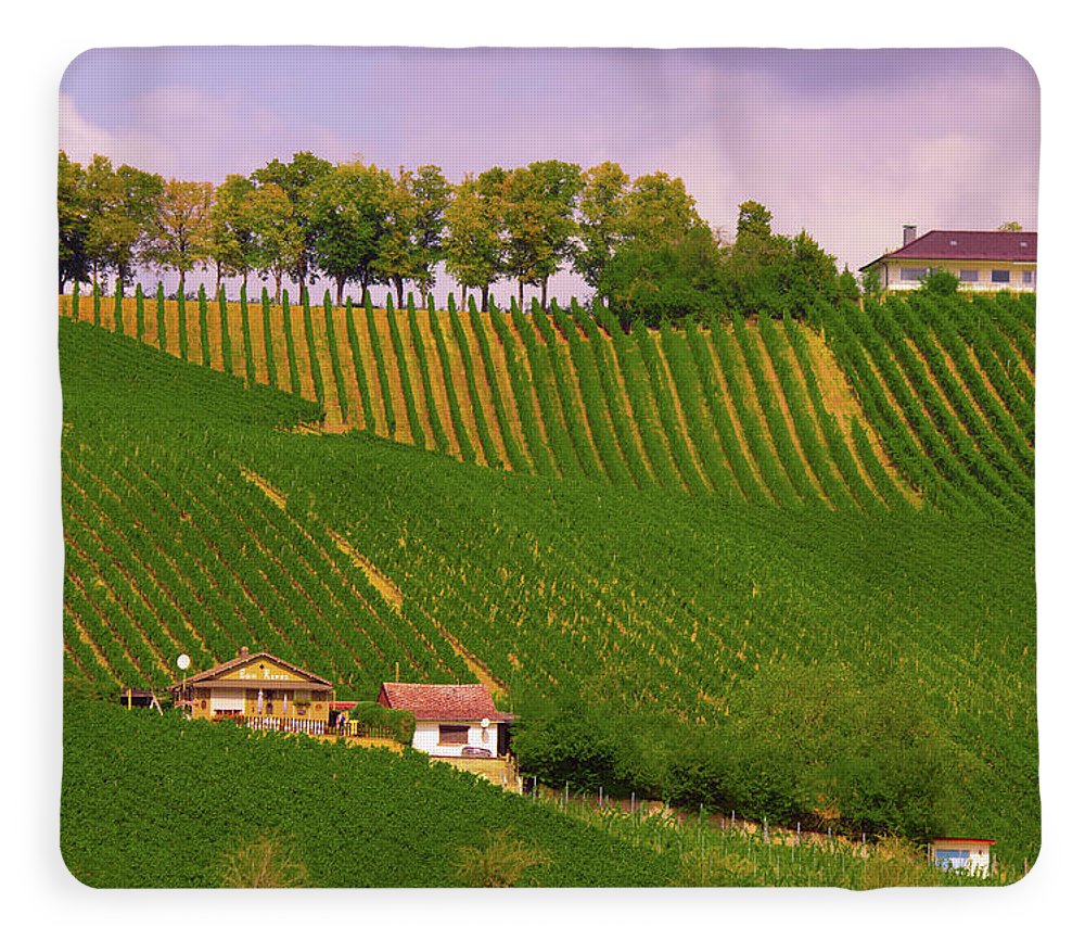 Luxembourg Vineyards Landscape  - Blanket