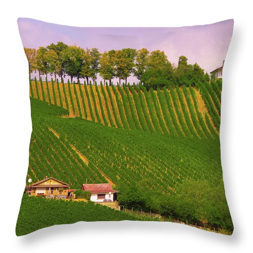 Luxembourg Vineyards Landscape  - Throw Pillow