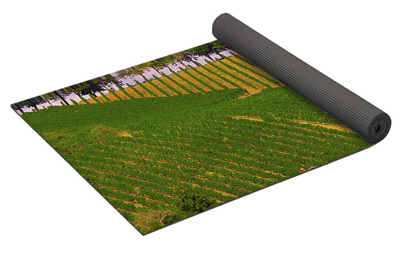 Luxembourg Vineyards Landscape  - Yoga Mat