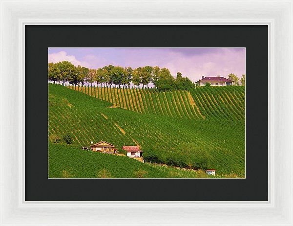 Luxembourg Vineyards Landscape  - Framed Print