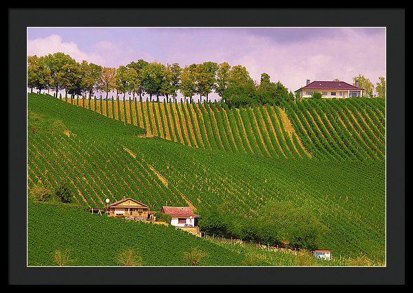 Luxembourg Vineyards Landscape  - Framed Print