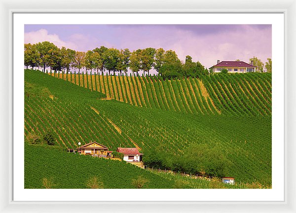 Luxembourg Vineyards Landscape  - Framed Print