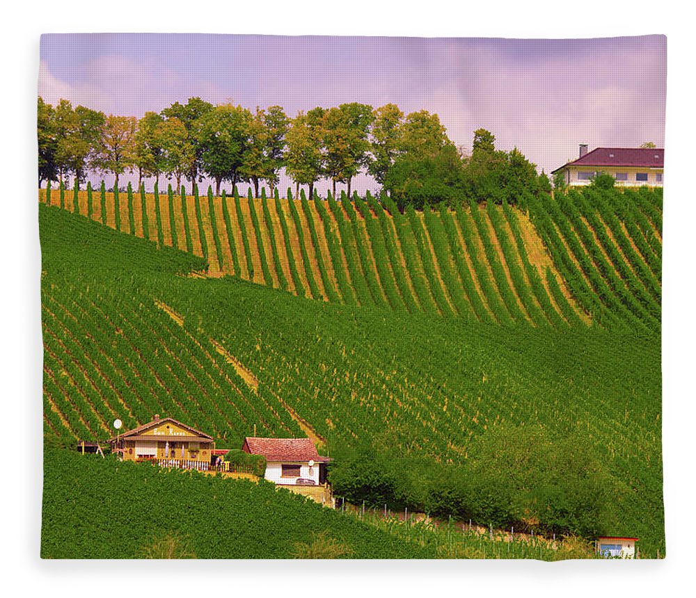 Luxembourg Vineyards Landscape  - Blanket