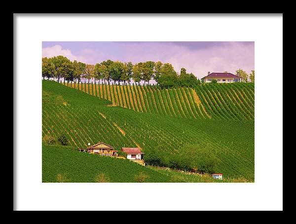 Luxembourg Vineyards Landscape  - Framed Print