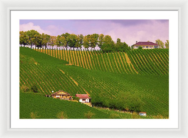 Luxembourg Vineyards Landscape  - Framed Print