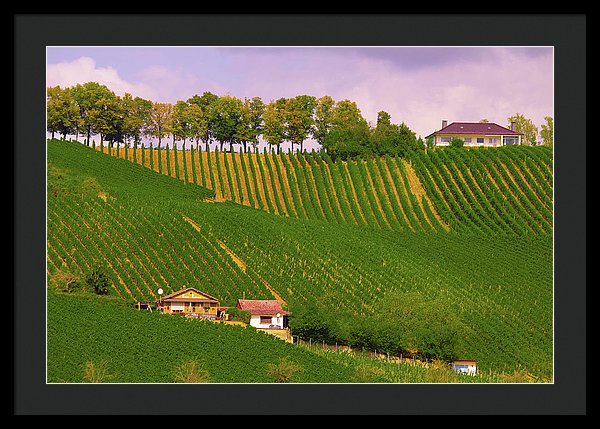 Luxembourg Vineyards Landscape  - Framed Print