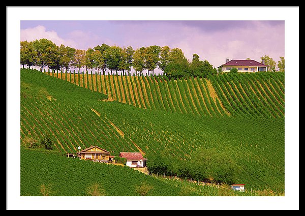 Luxembourg Vineyards Landscape  - Framed Print