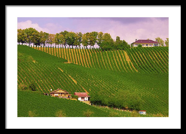 Luxembourg Vineyards Landscape  - Framed Print