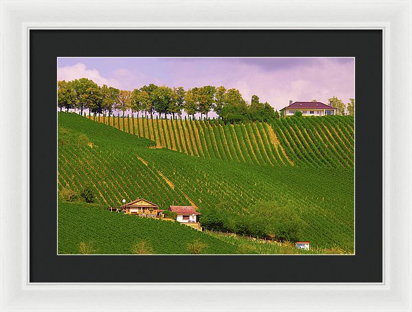 Luxembourg Vineyards Landscape  - Framed Print