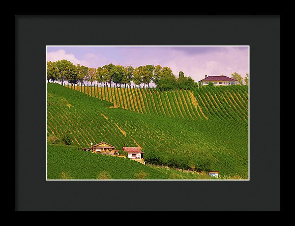 Luxembourg Vineyards Landscape  - Framed Print