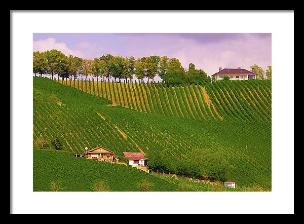 Luxembourg Vineyards Landscape  - Framed Print