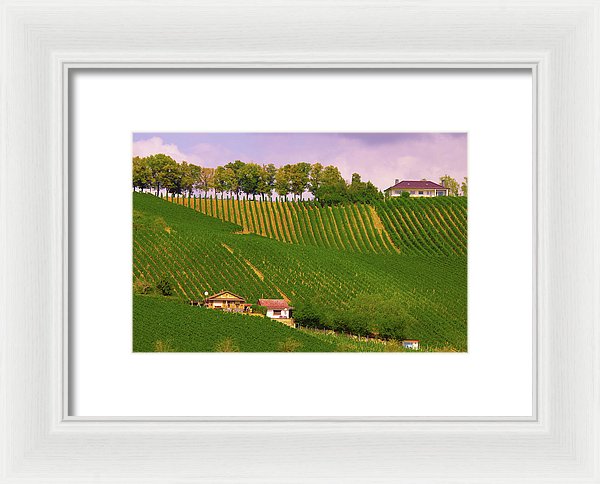 Luxembourg Vineyards Landscape  - Framed Print