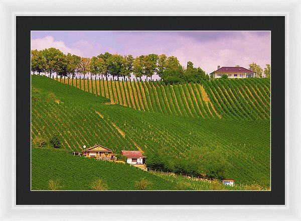 Luxembourg Vineyards Landscape  - Framed Print