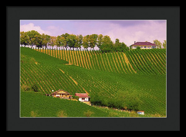 Luxembourg Vineyards Landscape  - Framed Print