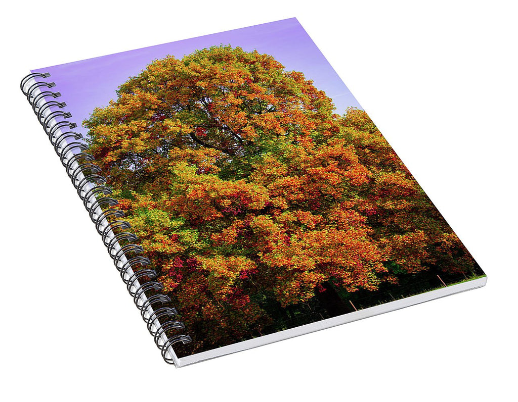 Nature In The Autumn  - Spiral Notebook