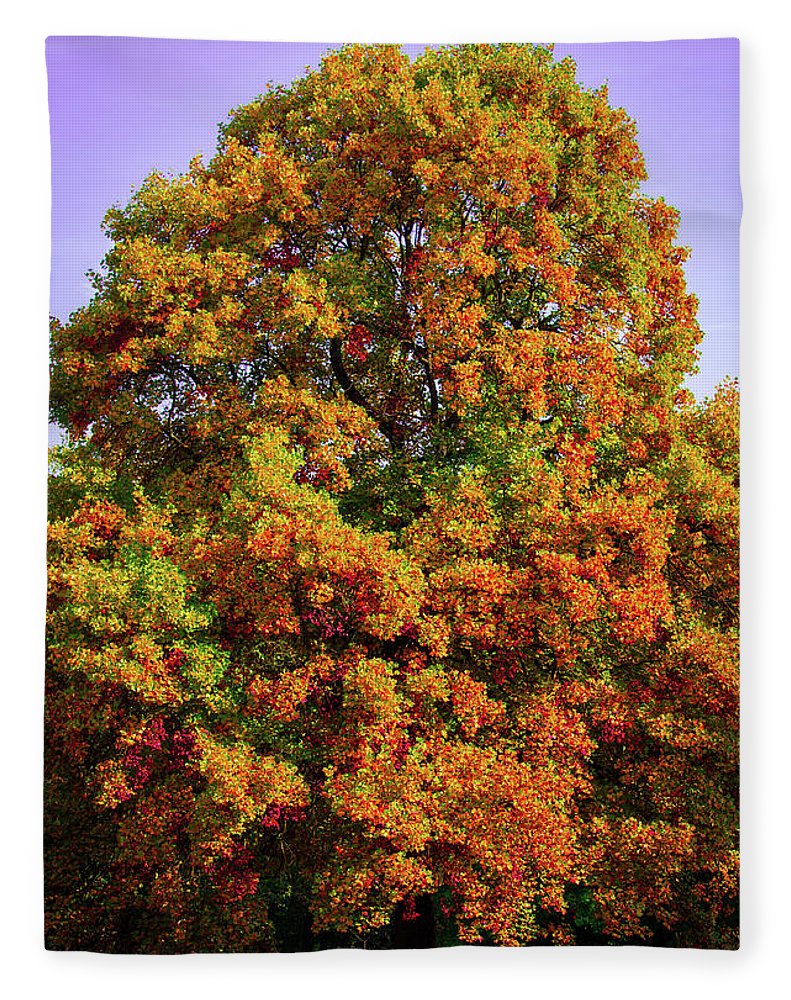 Nature In The Autumn  - Blanket