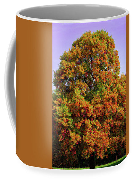 Nature In The Autumn  - Mug