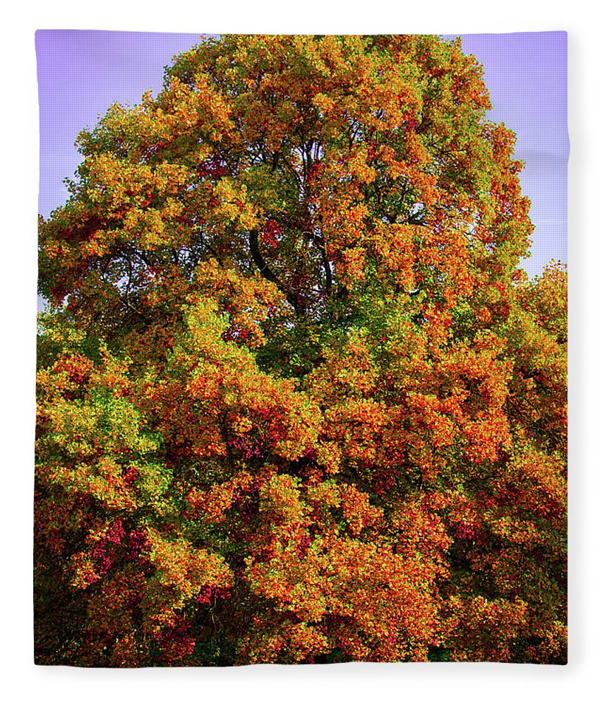 Nature In The Autumn  - Blanket