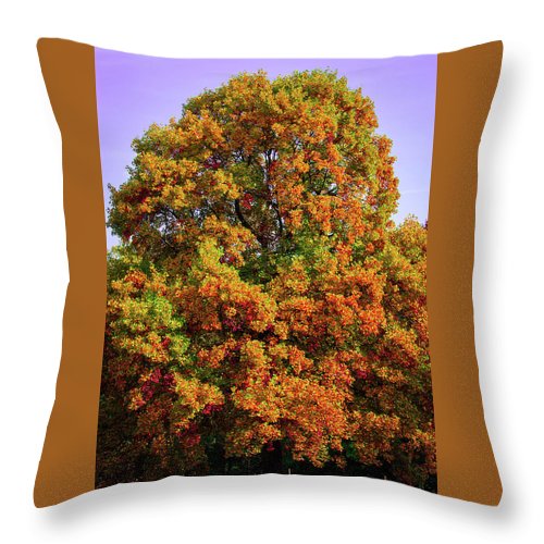 Nature In The Autumn  - Throw Pillow