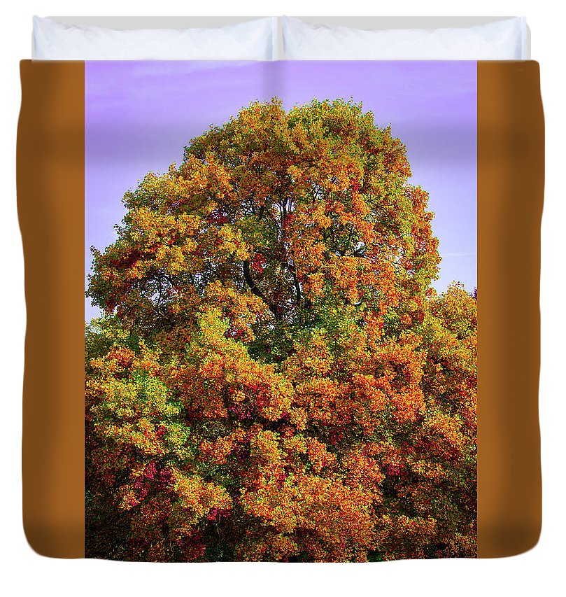 Nature In The Autumn  - Duvet Cover