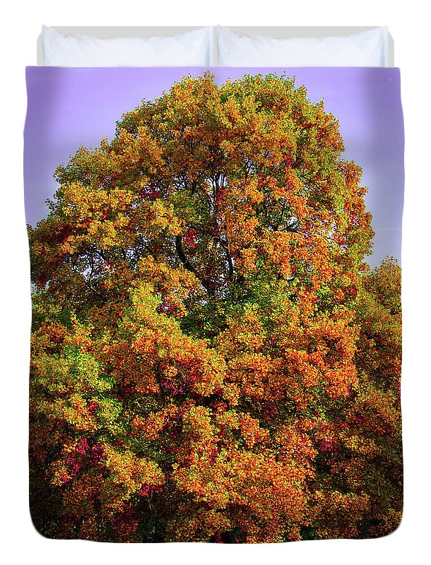 Nature In The Autumn  - Duvet Cover