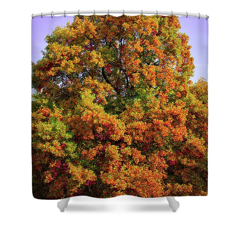 Nature In The Autumn  - Shower Curtain