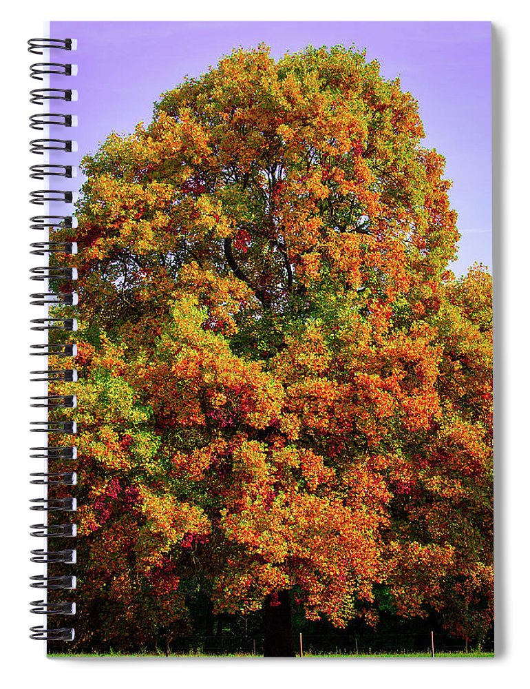 Nature In The Autumn  - Spiral Notebook