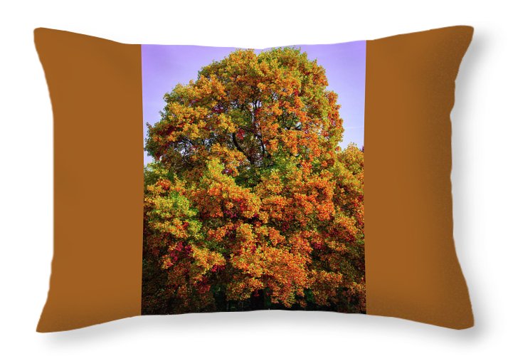 Nature In The Autumn  - Throw Pillow