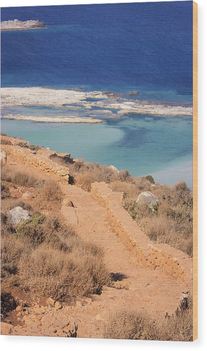 Pathway To The Sea - Wood Print