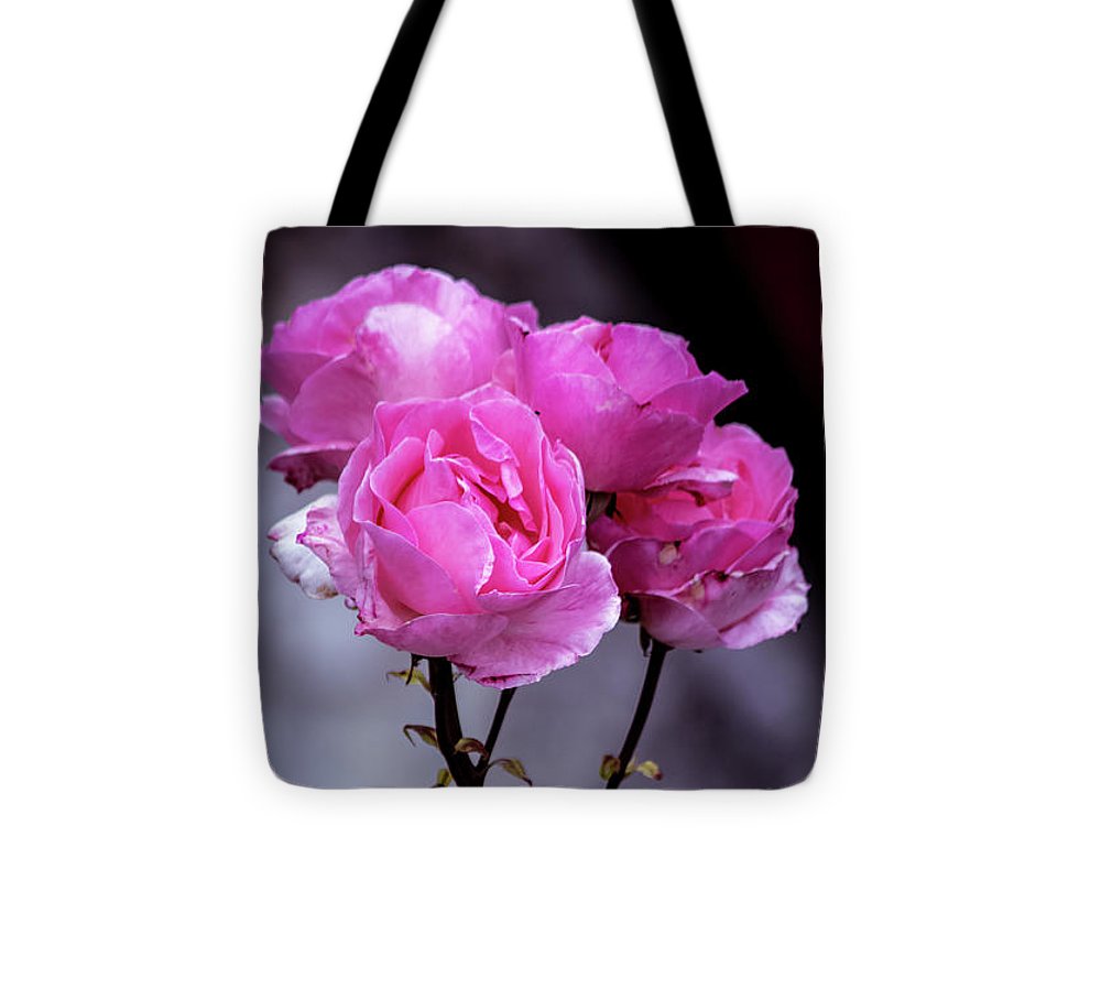 Pink Roses  - Tote Bag