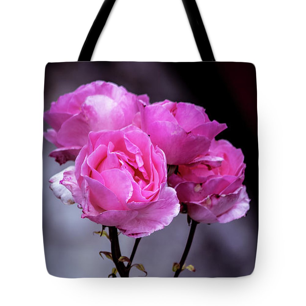 Pink Roses  - Tote Bag