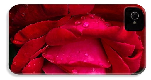 Red Rose Petals - Phone Case