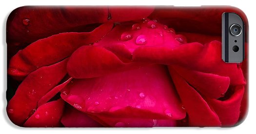 Red Rose Petals - Phone Case