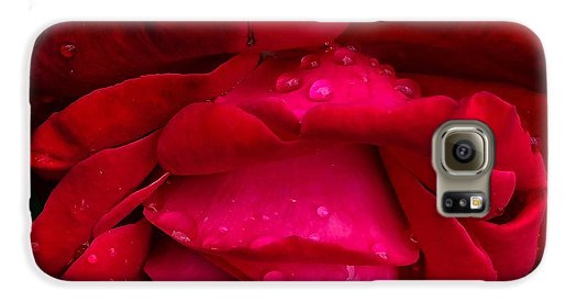 Red Rose Petals - Phone Case