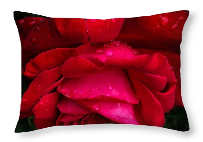 Red Rose Petals - Throw Pillow
