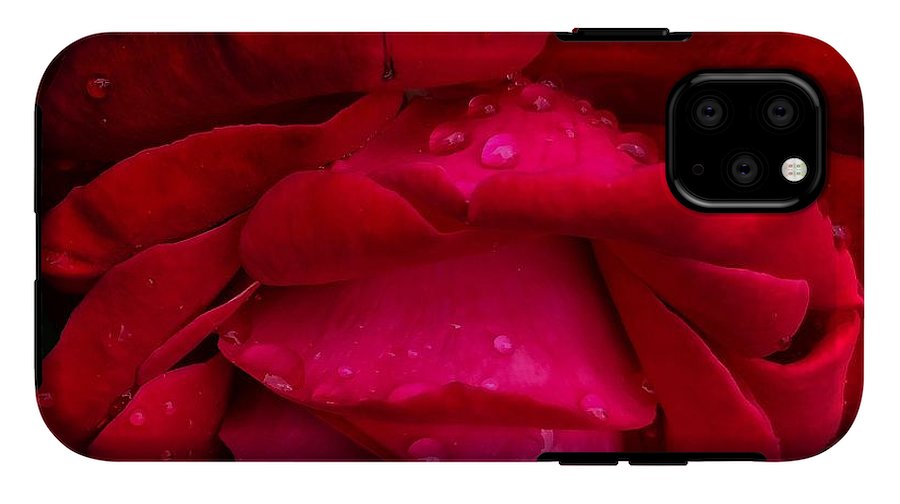 Red Rose Petals - Phone Case