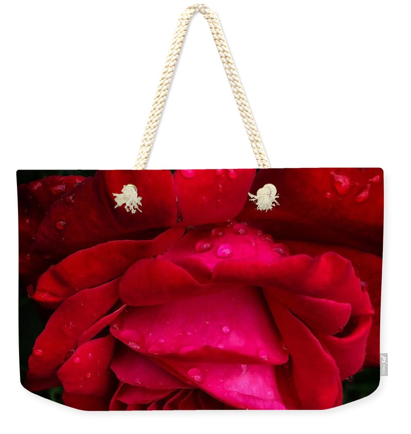Red Rose Petals - Weekender Tote Bag