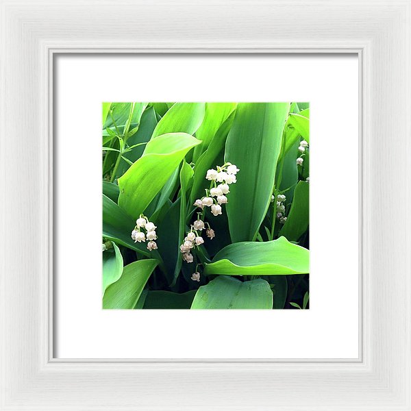 Return Of The Happiness - Framed Print