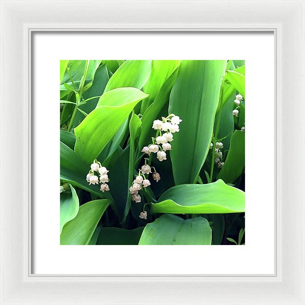 Return Of The Happiness - Framed Print