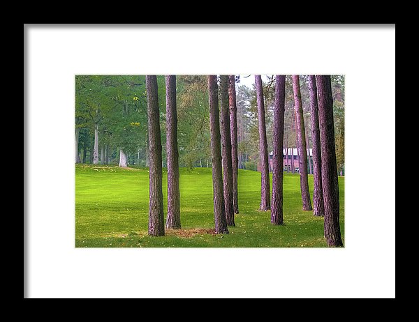 Serenity - Framed Print