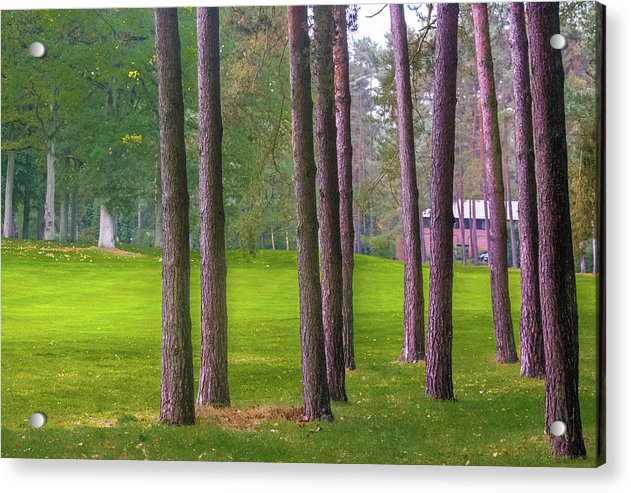 Serenity - Acrylic Print