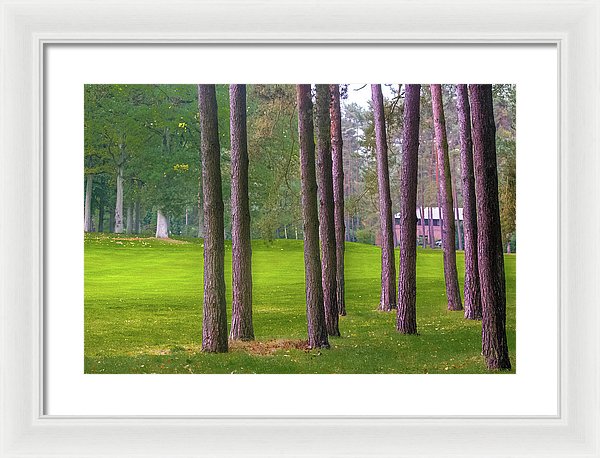 Serenity - Framed Print