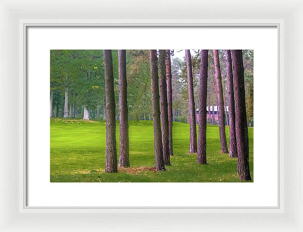 Serenity - Framed Print