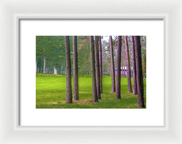 Serenity - Framed Print